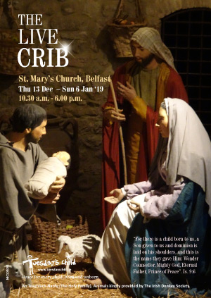 Live crib sheep
