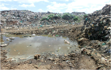 nairobi scavengers