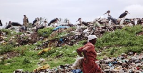 nairobi scavengers