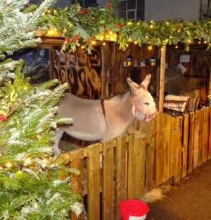 Visit the live crib