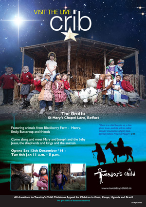Visit the live crib
