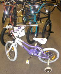Bikes for Bosnia from Tuesday's Child