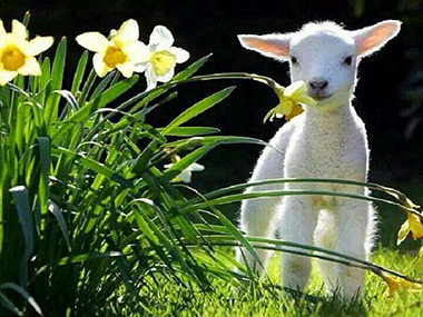 Tuesday&rsquo;s Child Easter Appeal